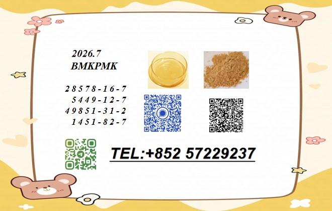 Popular Recommendation Functional Item BMK 5449-12-7 PMK 28578-16-7