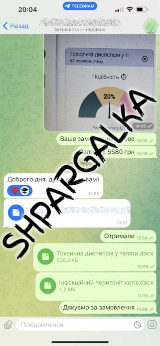 Научный перевод дипломной работы на заказ в Украине