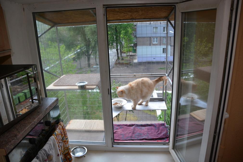 Прогулочный вольер для кошек на окно. "Броневик" Днепр.