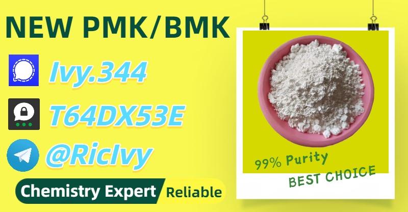 Established Production Base BM.K 5449-12-7 Powder 28578-16-7 P.MK Oil