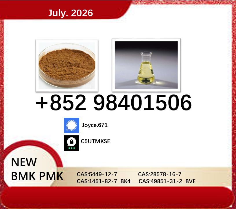 5449-12-7 glycidic acid sodium salt cas 28578-16-7 ethyl glycidate free shipping