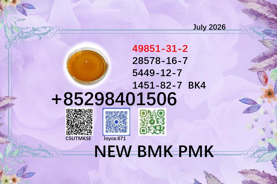 Factory supply BMK cas 5449-12-7 / 28578-16-7 PMK powder BK4 BVF with high purity