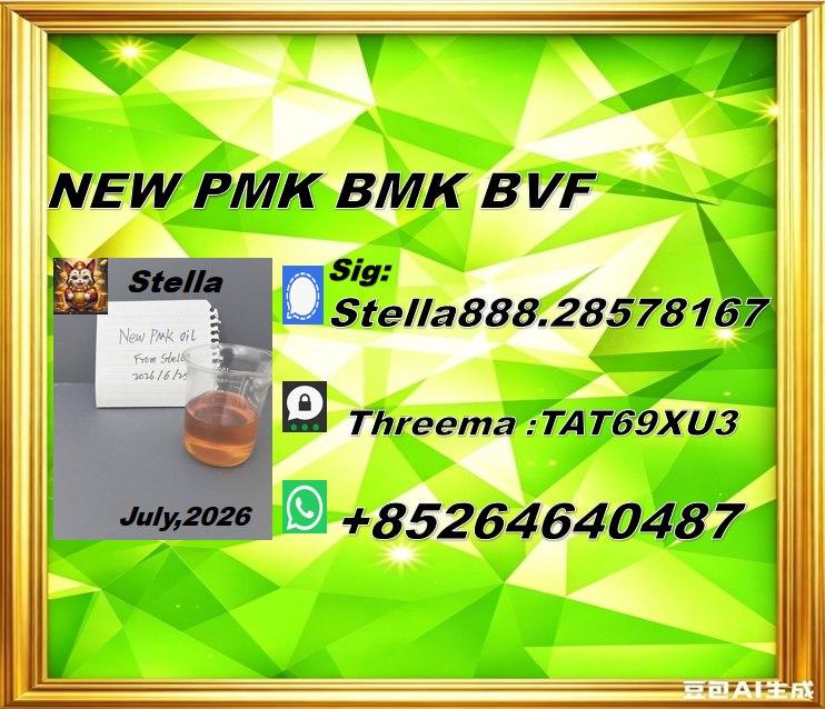 New PM.K 28578-16-7/ BM.K CAS:5449-12-7/ Industry Expertise