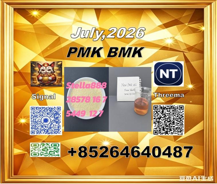 PMK/ CAS 28578-16-7/provide dependable BMK/