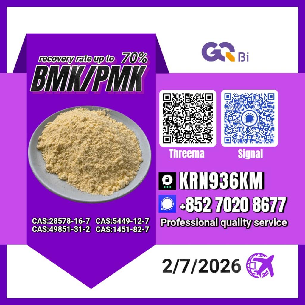 International Trade New PM.K 28578-16-7/ BM.K CAS:5449-12-7/