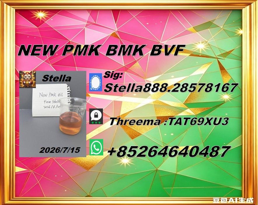 Professional Chemical Service New PM.K cas 28578-16-7/ BM.K CAS:5449-12-7/